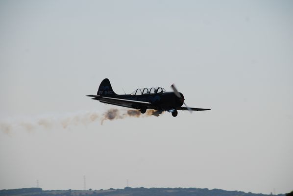tn_DSC_8320.JPG