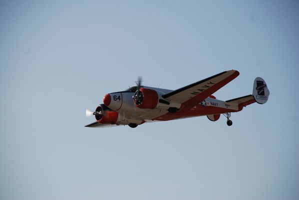 tn_DSC_8370.JPG